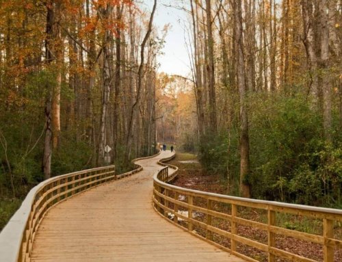 Things to do in Cumming: The Big Creek Greenway